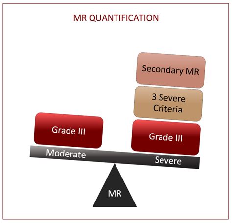 grading mr severity